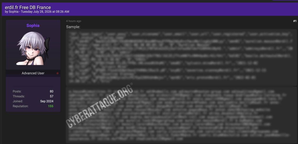 erdil cyberattaque