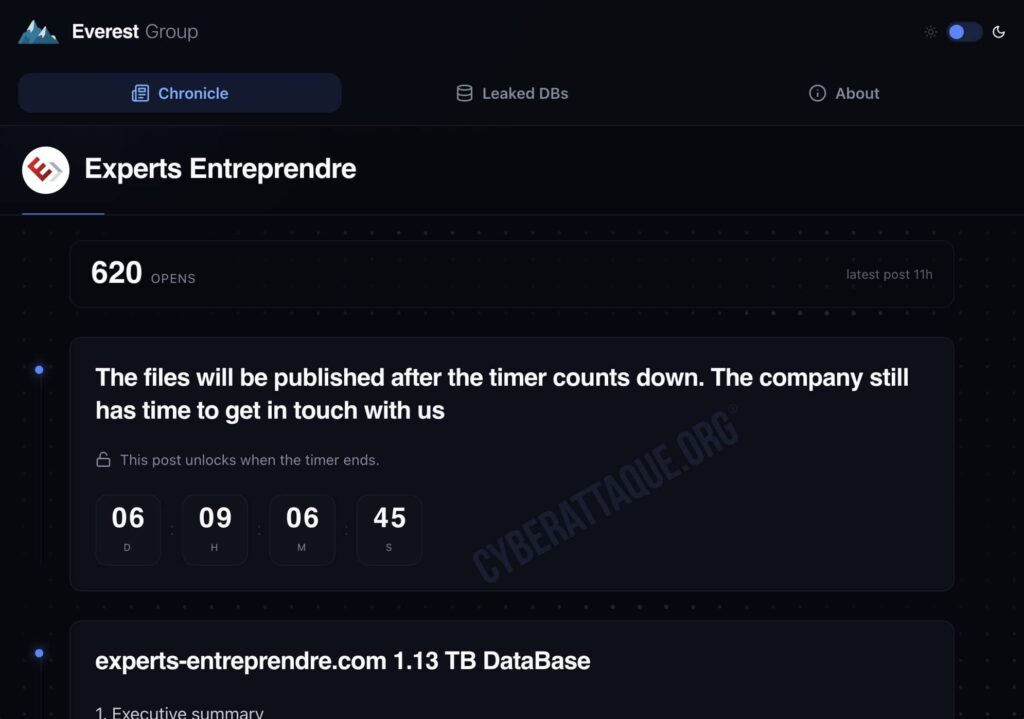 Experts Entreprendre cyberattaque