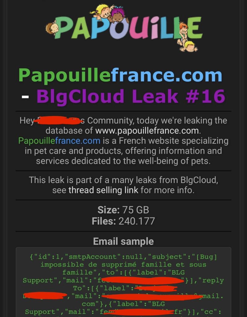 Papouille france cyberattaque