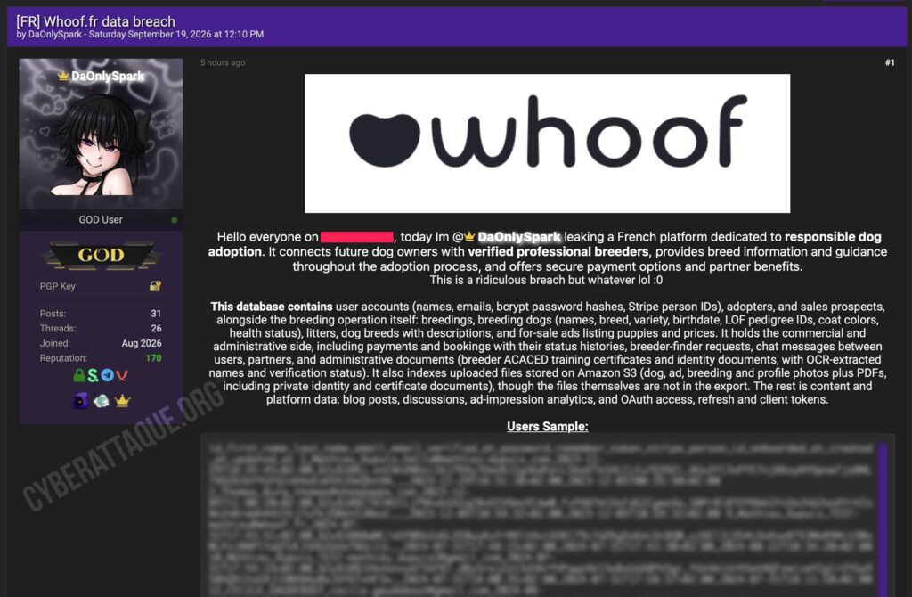 Whoof cyberattaque